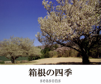 箱根カントリー倶楽部の四季