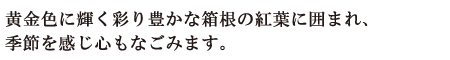 黄金色に輝く彩豊かな箱根の紅葉に囲まれ季節を感じ心もなごみます