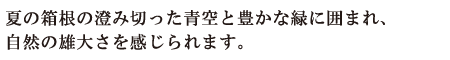 夏の箱根の澄み切った青空と豊かな緑に囲まれ自然の雄大さを感じられます