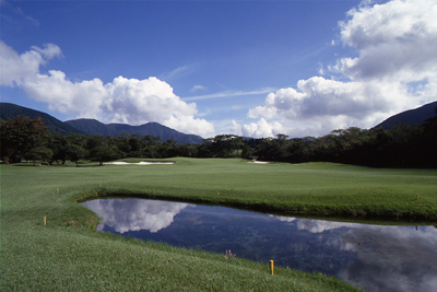 夏の風景